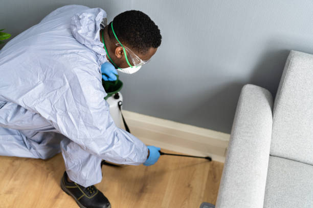 Best Bed Bug Extermination  in Monticello, IL